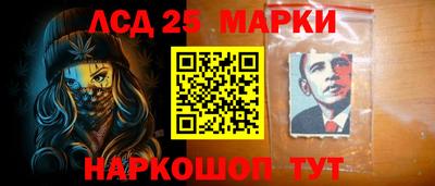 ешки Владимир