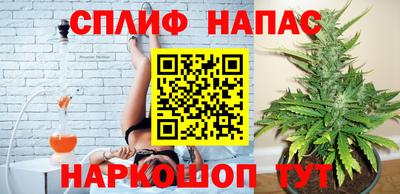 мяу мяу мука Владикавказ