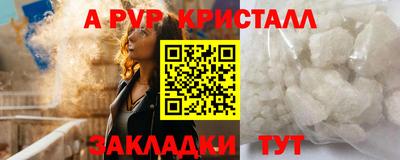 мяу мяу мука Владикавказ