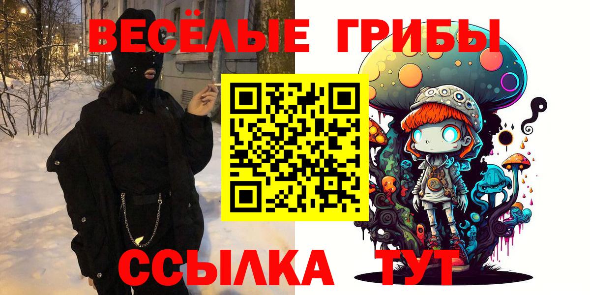 Балашов  Псилоцибиновые грибы мухоморы  закладки  Вход с VPN 